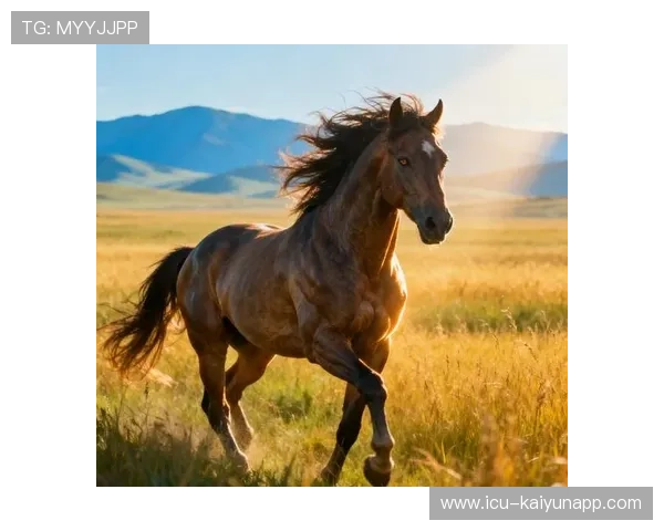 美国马术协会与国际组织合作，推广“Mustang Challenge”至全球。，美国马术俱乐部