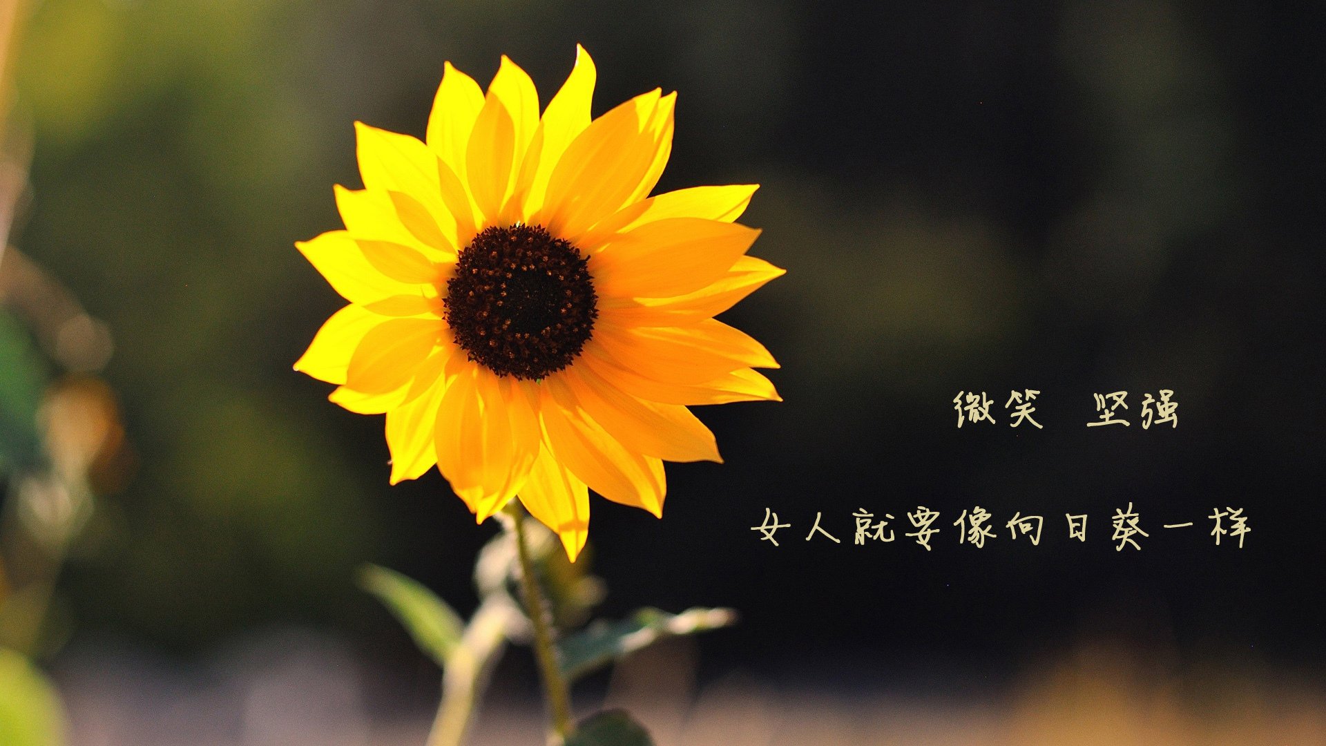 开云体育在线官网-世界排球联赛中国男排小组逆转晋级，世界排球联赛中国男排小组逆转晋级名单