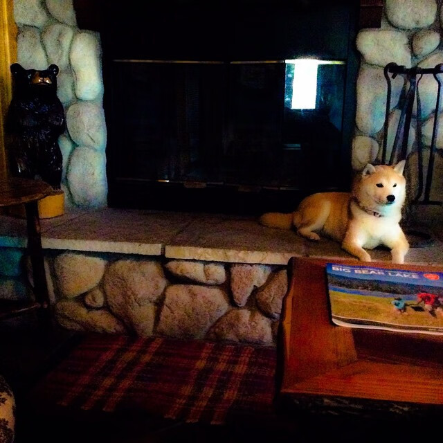 冲刺阶段划频骤升影响名次走势，冲刺阶段的意思