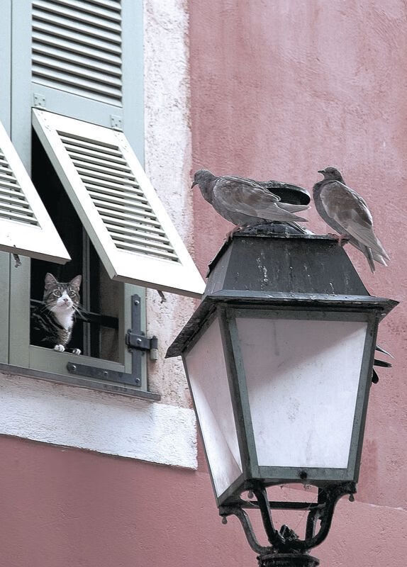 开云体育链接-基层赛事运营模式无法实现自负盈亏，赛事运行机制