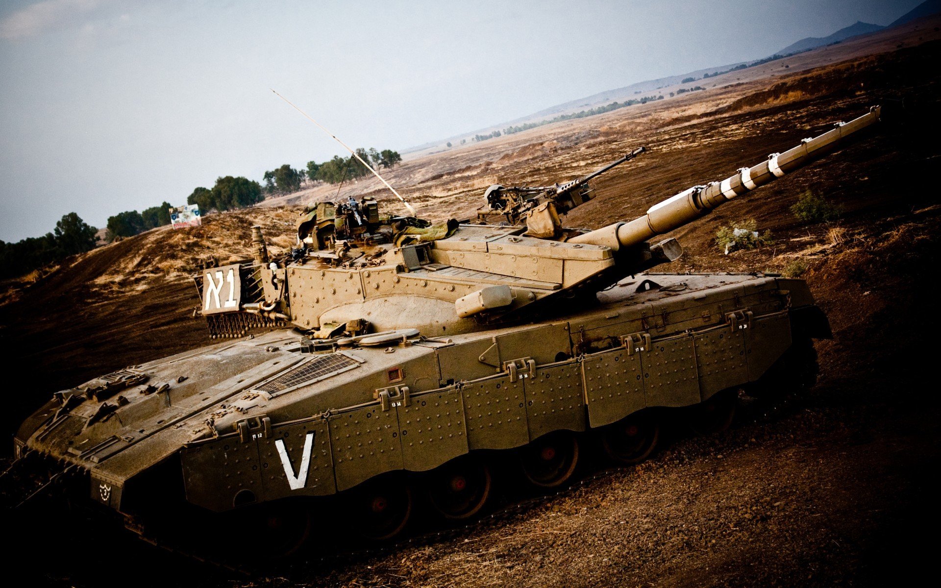 澳男队仰泳项目小将表现亮眼,男子仰泳决赛