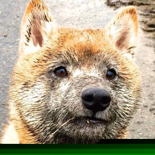 乔治数据爆表快船东部前四稳固,乔治快船续约